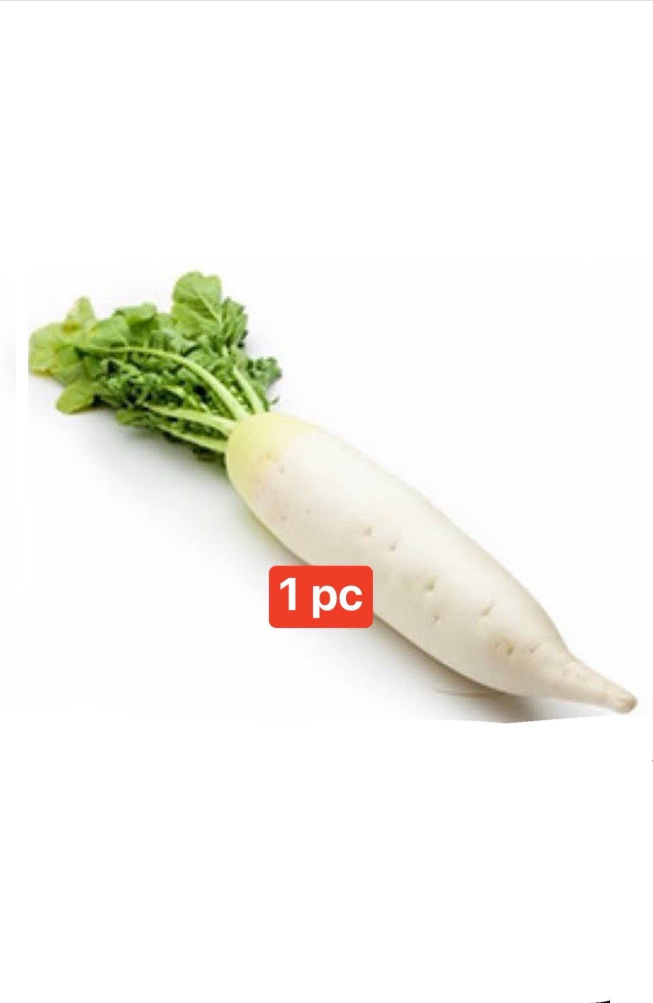 Fresh Raddish | 1 pc Big