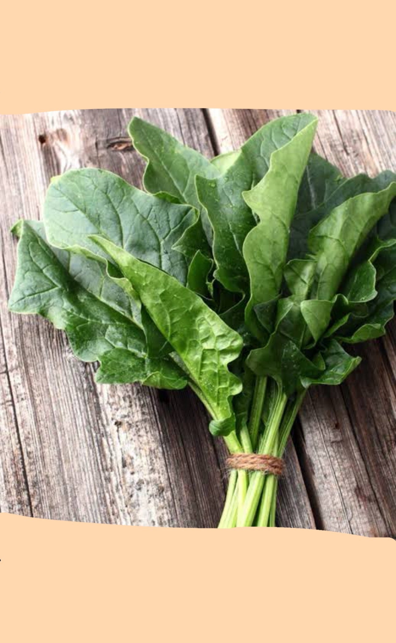 English Spinach Saag