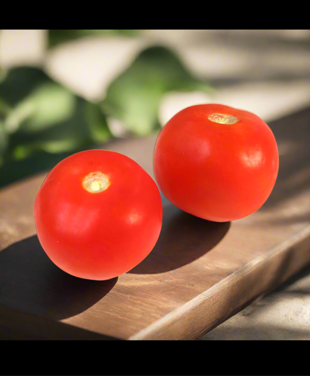 Tomato 500 gm- prepackaged