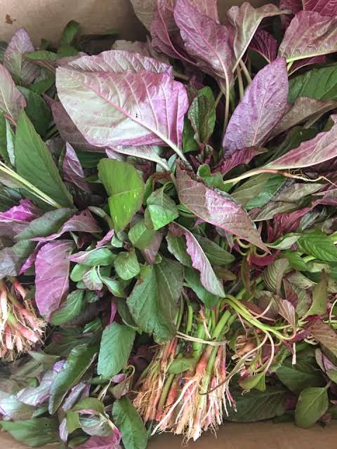 Latte Saag | per bunch